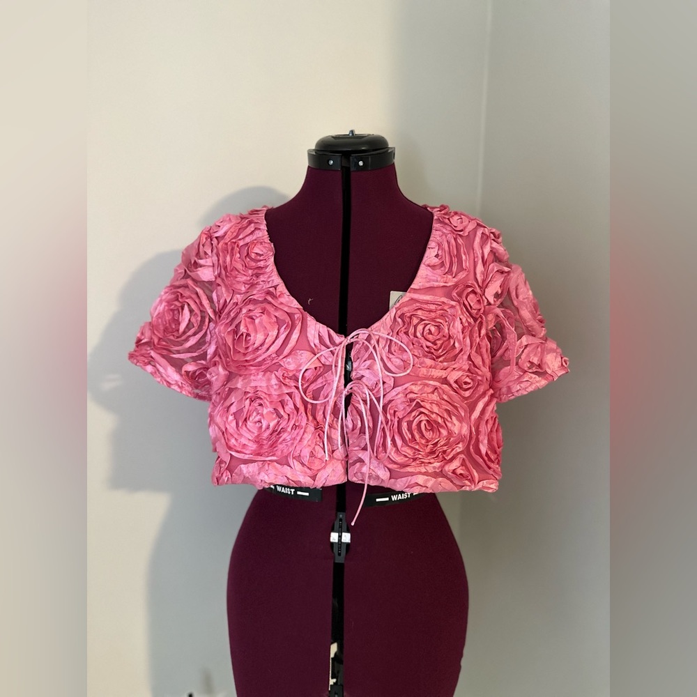 Hutch Cropped Rosette Appliqué Topper